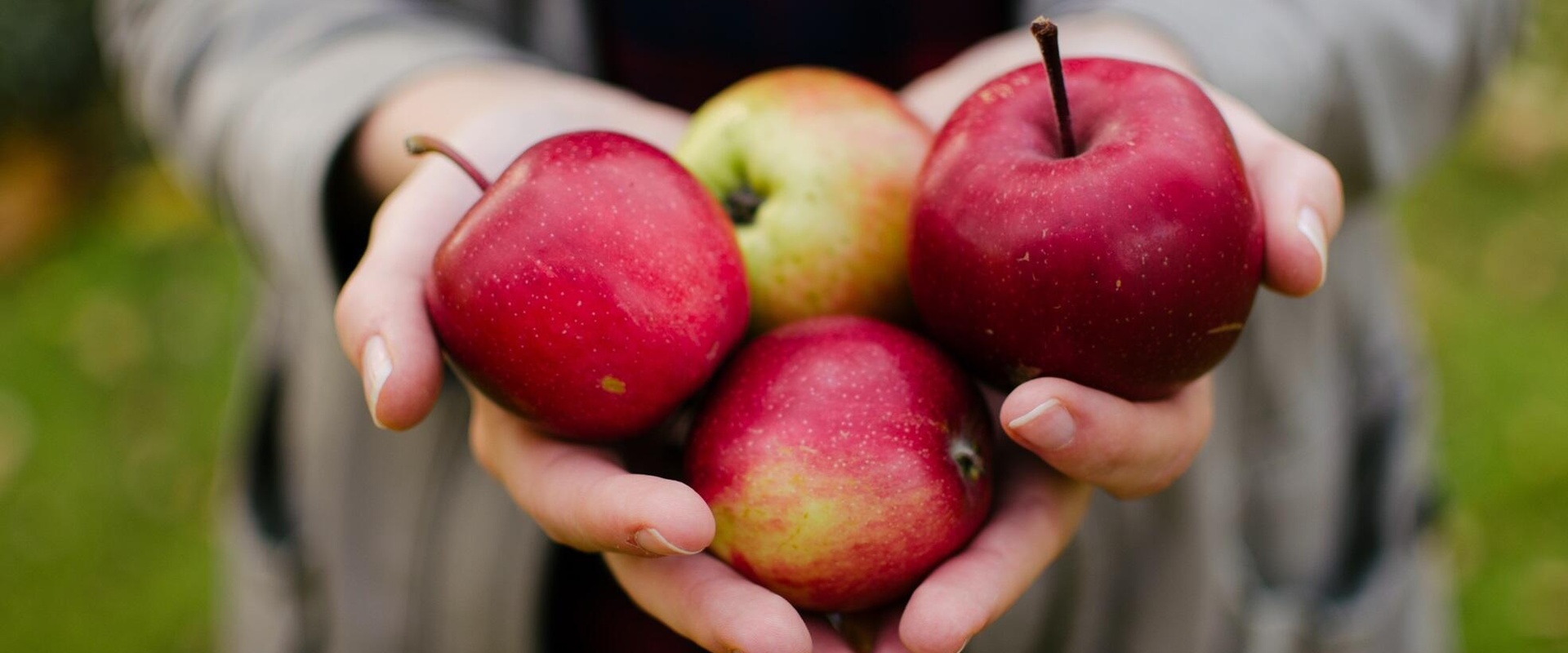 Agrifood opleiding Yuverta van start