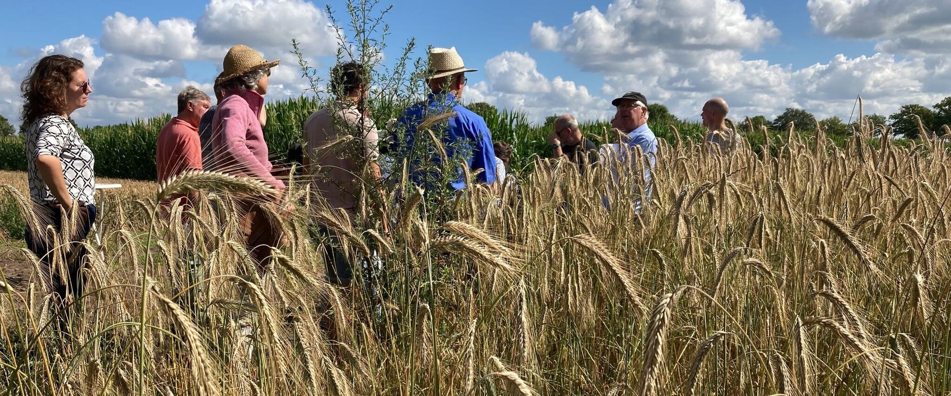 AgroProeftuin de Peel maakt landbouwtransitie zichtbaar