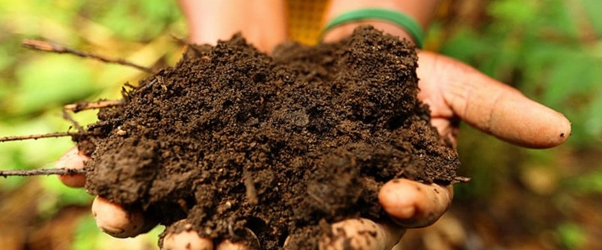 AgroProeftuin de Peel ontwikkelt tools voor gezonde bodem