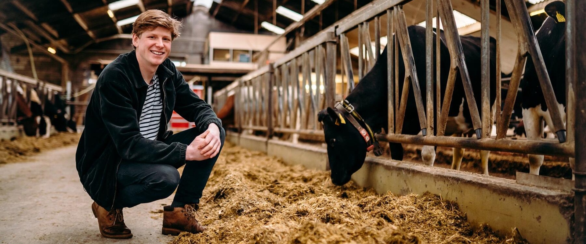 Boer Siebe schakelt om naar biologisch