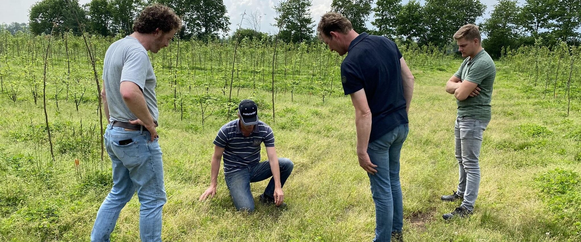 Boeren en proefboerderijen in de Peel onderzoeken rotatieteelt