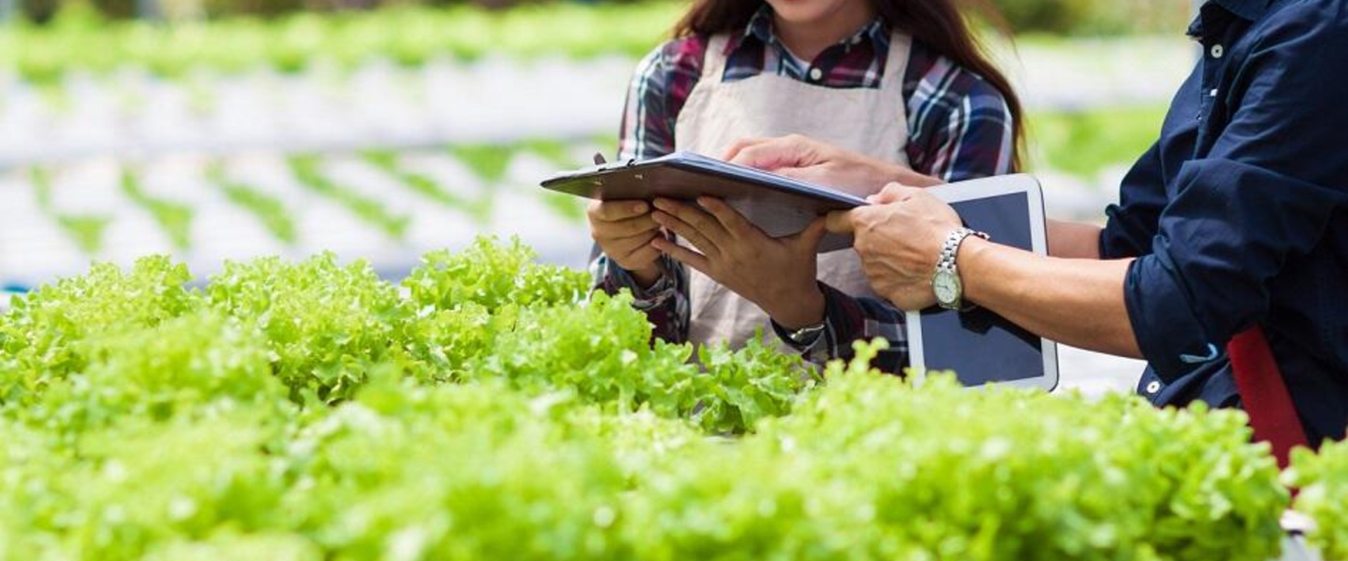 Nieuwe samenwerking onderwijs en agrifoodsector in Brabant