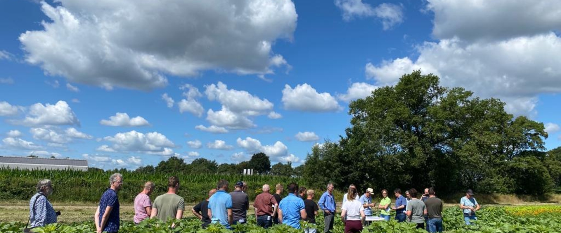 Nog subsidie beschikbaar voor innovatie kringlooplandbouw 