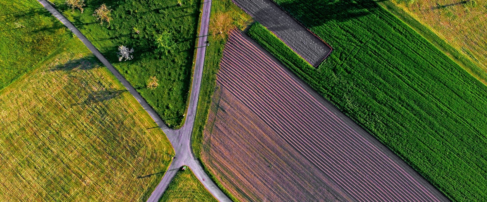 Staat van de Regio Noordoost-Brabant gelanceerd