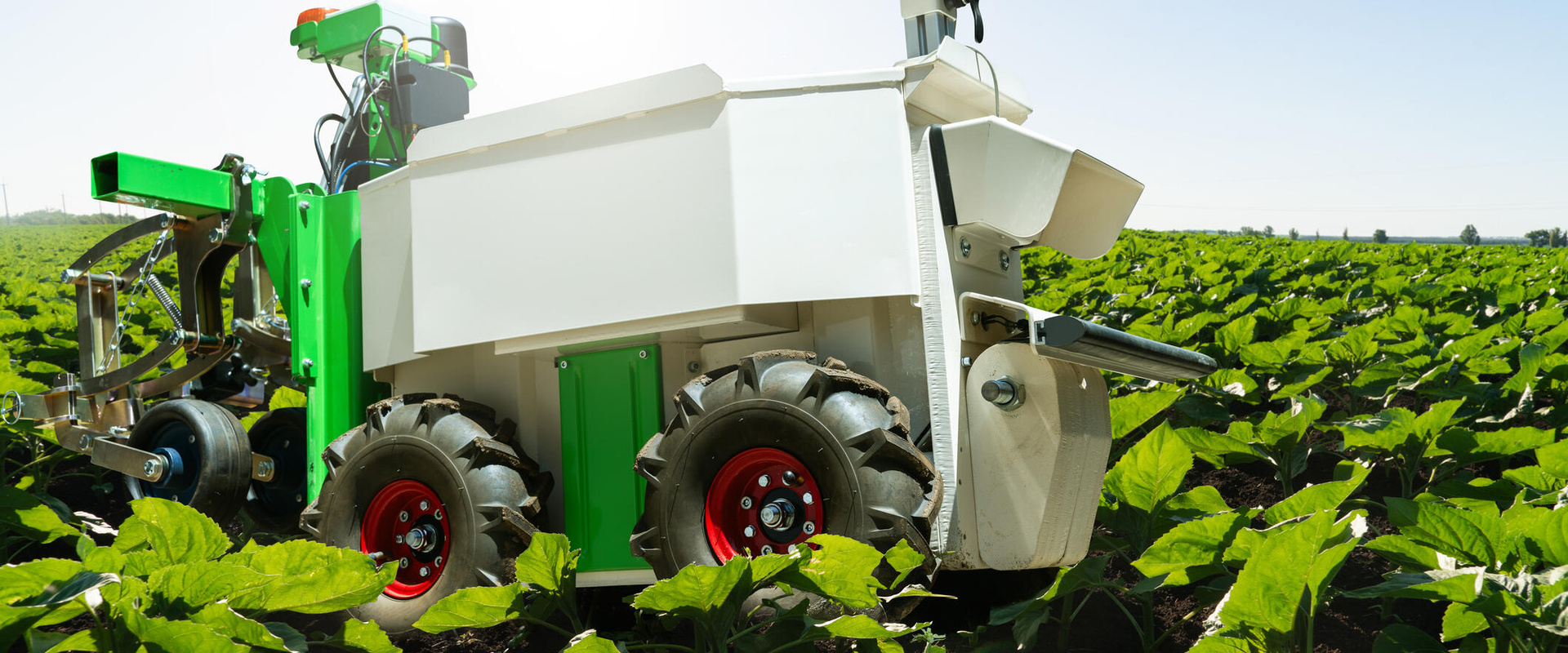 Vacature Business Innovatie Manager | 24 uur per week